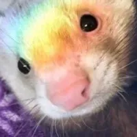 Grupo de WhatsApp: ೃ️!!ᥲᥣιᥲᥒᥴ̧ᥲ Lgbtᥱᥱᥒ 𖦹!₊˚⊹
