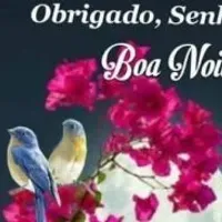 Bom dia, boa tarde, boa noite