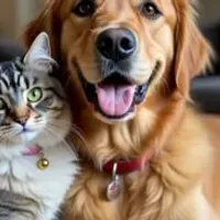 Grupo de WhatsApp: Pet feliz, família feliz ️
