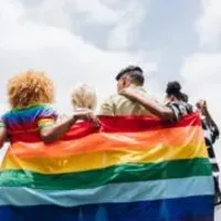 Grupo de WhatsApp: Harém LGBT